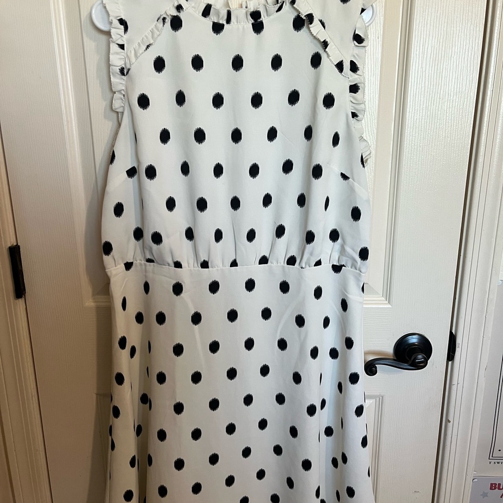 Ann Taylor Black and White Ruffle Dress